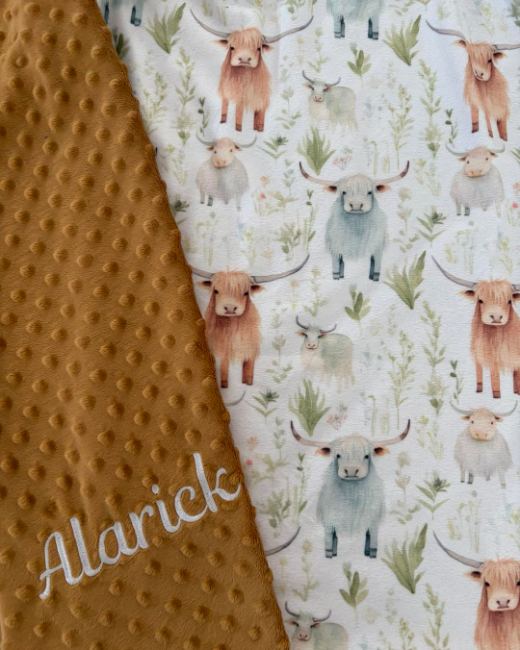 Custom blanket · Alarick